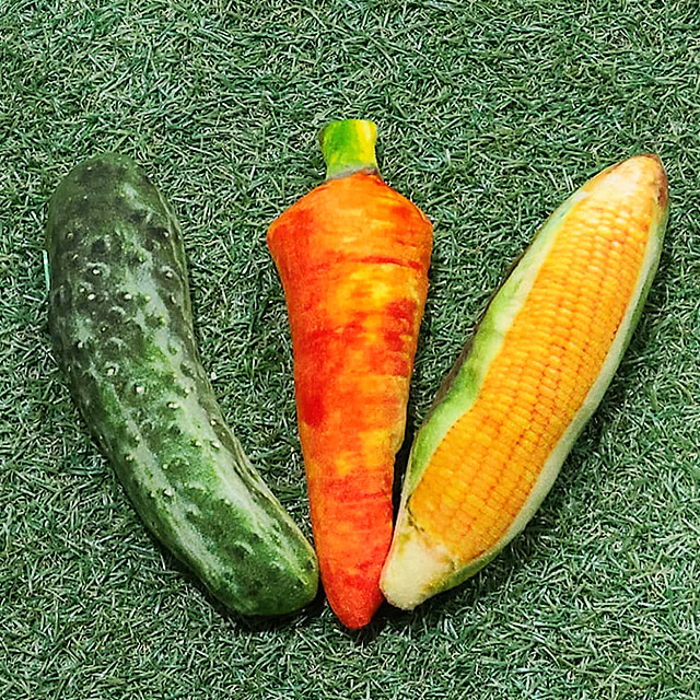 캣완트 캣닢 야채인형 3종